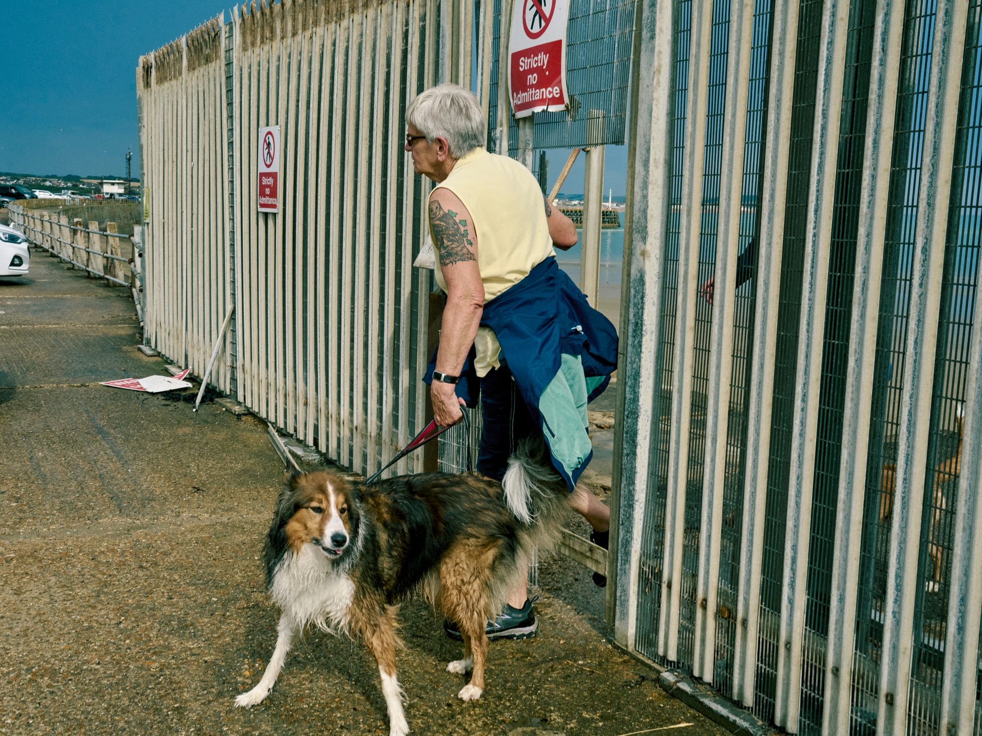 A woman and her dog return from a trip to West Beach (Harry Mitchell)