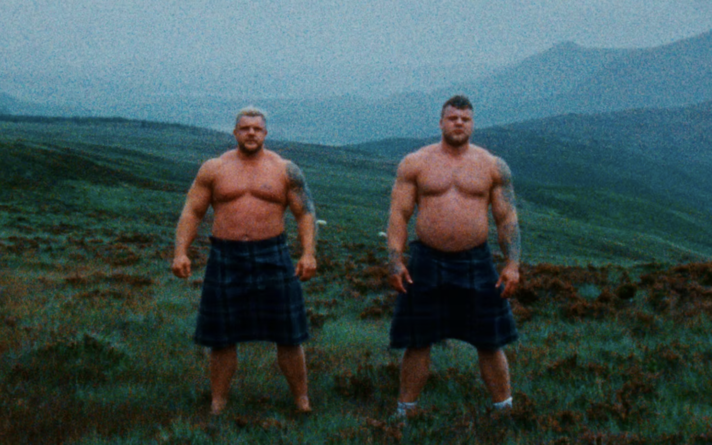 Among the giants