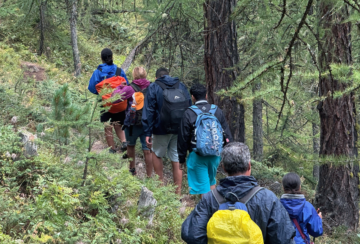 The Alpine migration crisis