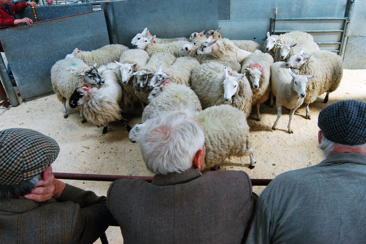 How to be happy in England